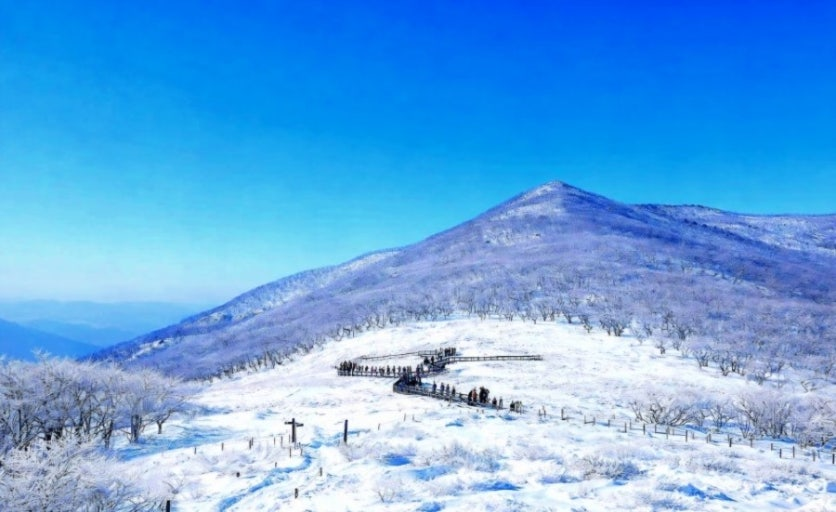 곰배령 예약하기 1 image 19
