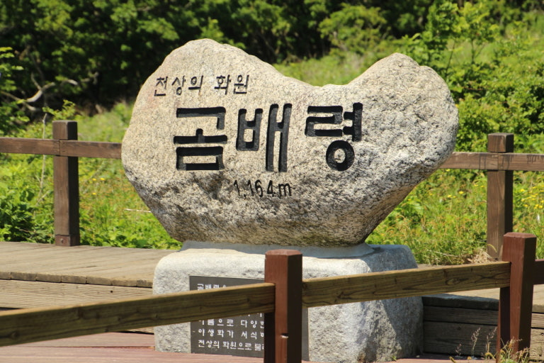 곰배령 예약하기 2 image 20